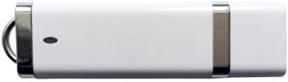 מקל לבן מודפס בהתאמה אישית USB פלאש מניע את כמות 100
