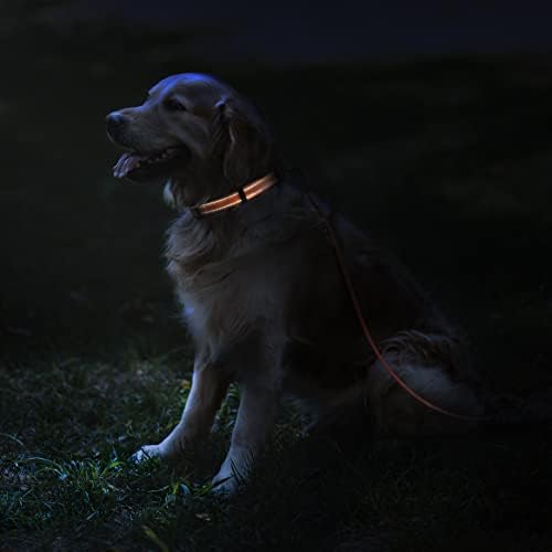 צווארון כלבים רפלקטיבי וצווארון שרשרת מרטינגייל - צרור לילד כלב גדול, ילדה או גור - כושר צוואר 18-26 אינץ