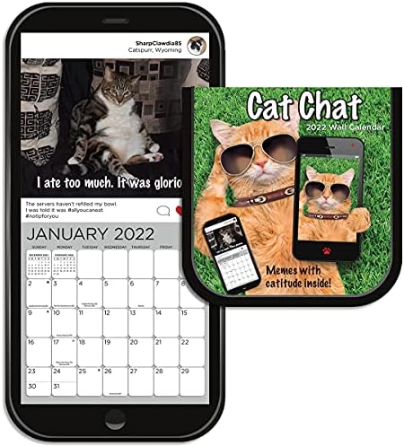 Turner Chap Cat Chat Diecut Mini Wall Calendar
