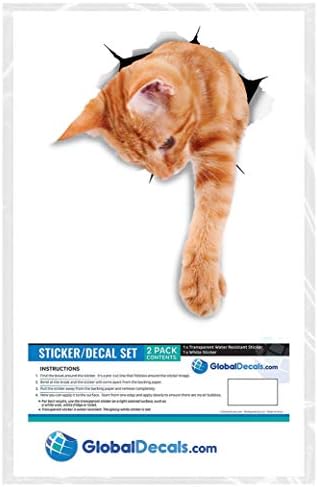 WINSTON & BEAR מדבקות CAT 3D - 2 חבילות - הגעה למדבקות ג'ינג'ר לקיר - מדבקות חתולים כתומים לרכב - מקרר -