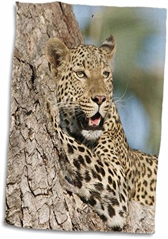 3drose sven Herkenrath Animal - Gepard על עץ בטבע - מגבות