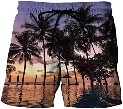 מכנסי חוף בגודל פלוס לגברים 3D מודפסים גזעי שחייה של בגדי ים וינטג