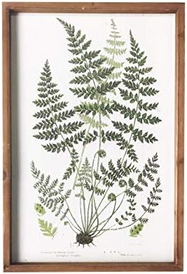 הדפסים צמחיים בוטניים של ניקי ממוסגרים - 20 x 14 תמונות של שרך עיצוב קיר אמנות - מראה וינטג 'עם מסגרות עץ אמיתיות