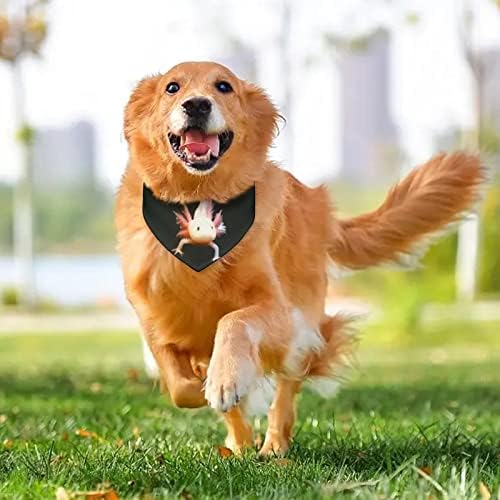 חמוד ניוט אקסולוטל כלב בנדנה משולש חמוד צעיף צעיף קרכיף עם אבזם מתכוונן