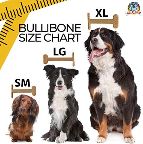 Bullibone Brusher: ניקוי שיני כלבים צחצוח מקל מברשת שיניים - צעצוע לכיסת שיניים לניילון ניילון לאורך זמן לטיפול אוראלי