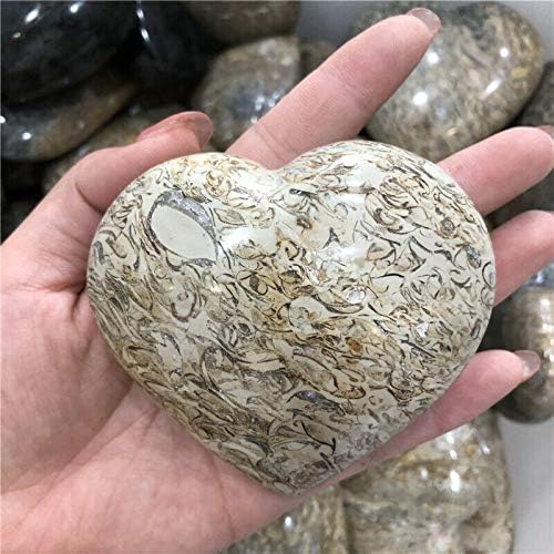 Seewoode AG216 189 גרם עץ טבעי לב מוטל לבוורץ קוורץ קריסטל אבן אבן טבעית ומנות מינרלים