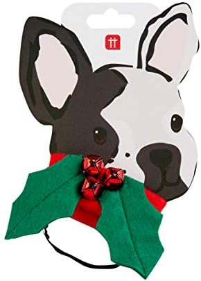 שולחנות מדברים על חג המולד לבוש כלב צווארון חיות מחמד עם עיצוב עלים הולי, BC-Hound-Hol-Dres