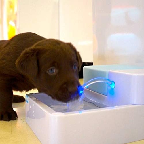מזרקת מים מחיות מחמד Mifxin 1.8L כלב גדול חתול כלב אוטומטי מתקן מים חשמלי 12 וולט קערת מסנן שתייה בטוחה עם נורת LED ומסנן