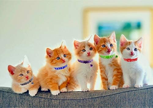 14 יחידות חתול קולרים בדלני עם פעמון ניילון צבעוני מתכוונן בטיחות חתלתול קולרים לחיות מחמד או קטן כלב