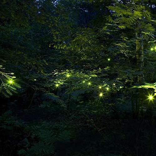 מיה-לייט אורות גחלילית המופעלים על ידי שמש, ז ' ונגקסין מהבהב גחליליות אורות מחרוזת עם 7 נורות גחליליות משעשעות,